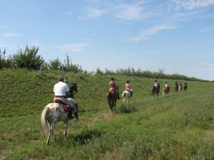escursioni a cavallo delta del po